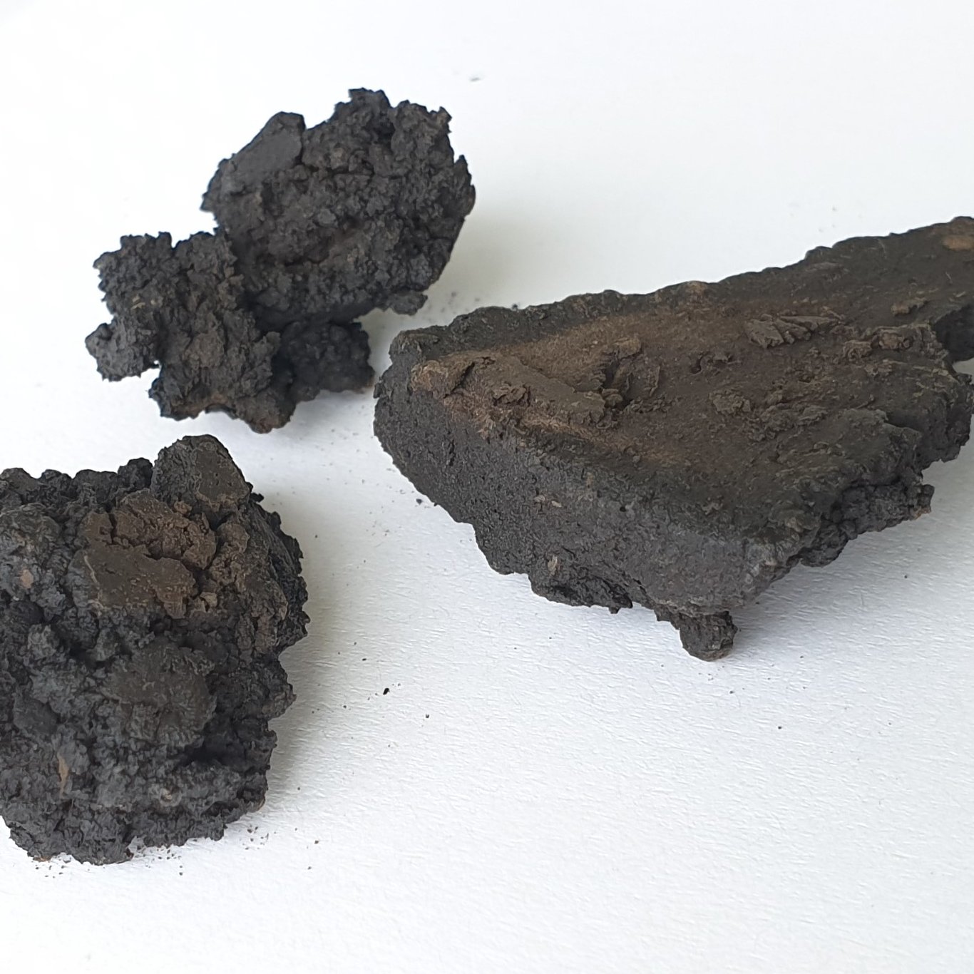 Coal from biomass using hydrothermal carbonization (HTC)